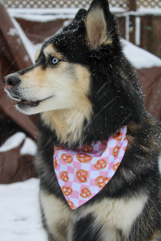 BANDANA PRETZEL