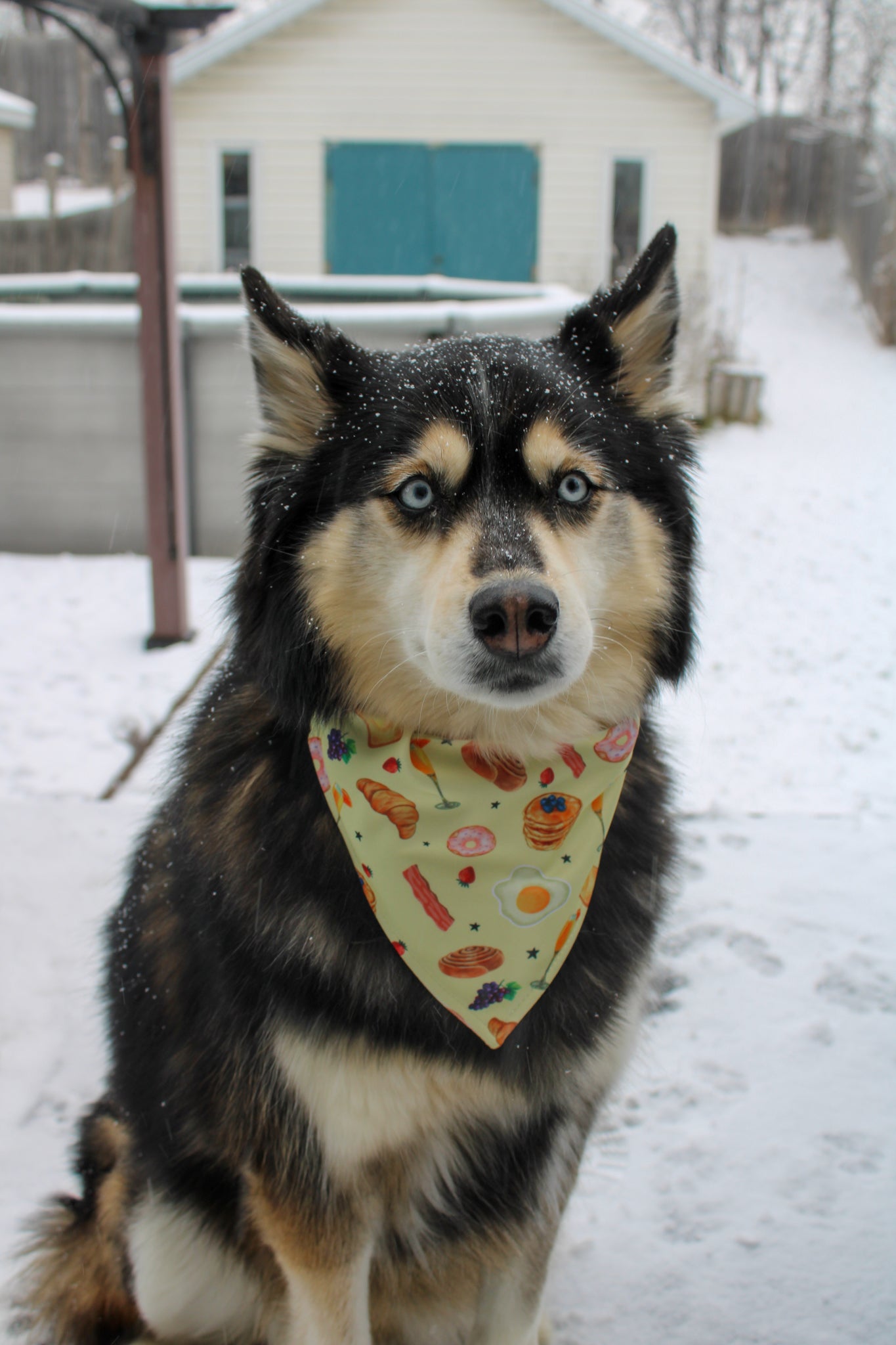 Bandana BREAKFAST TIME
