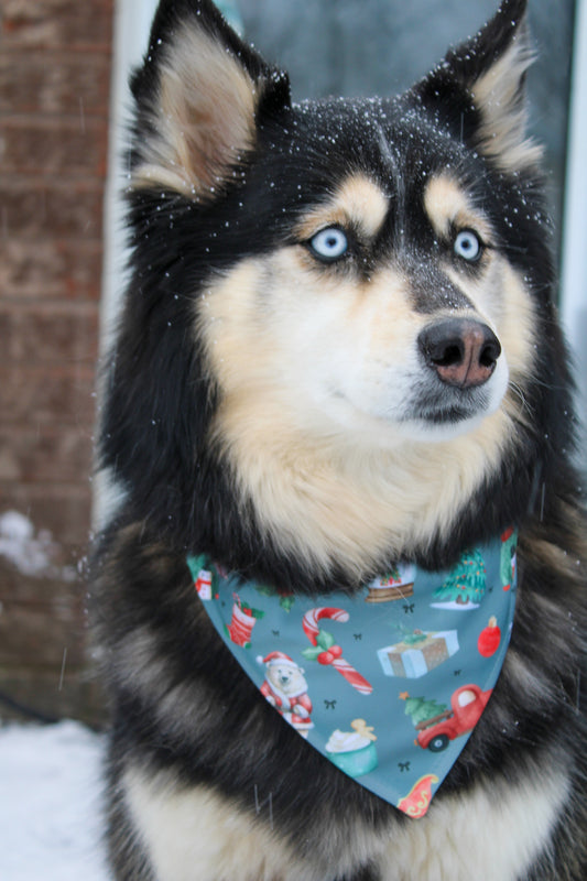 Bandana MON PREMIER NOËL