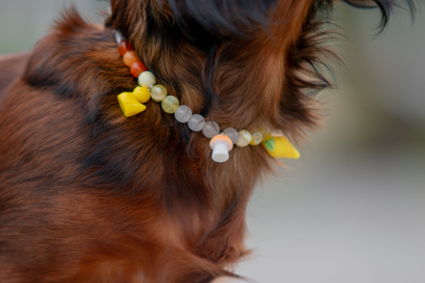 Collier ZESTE