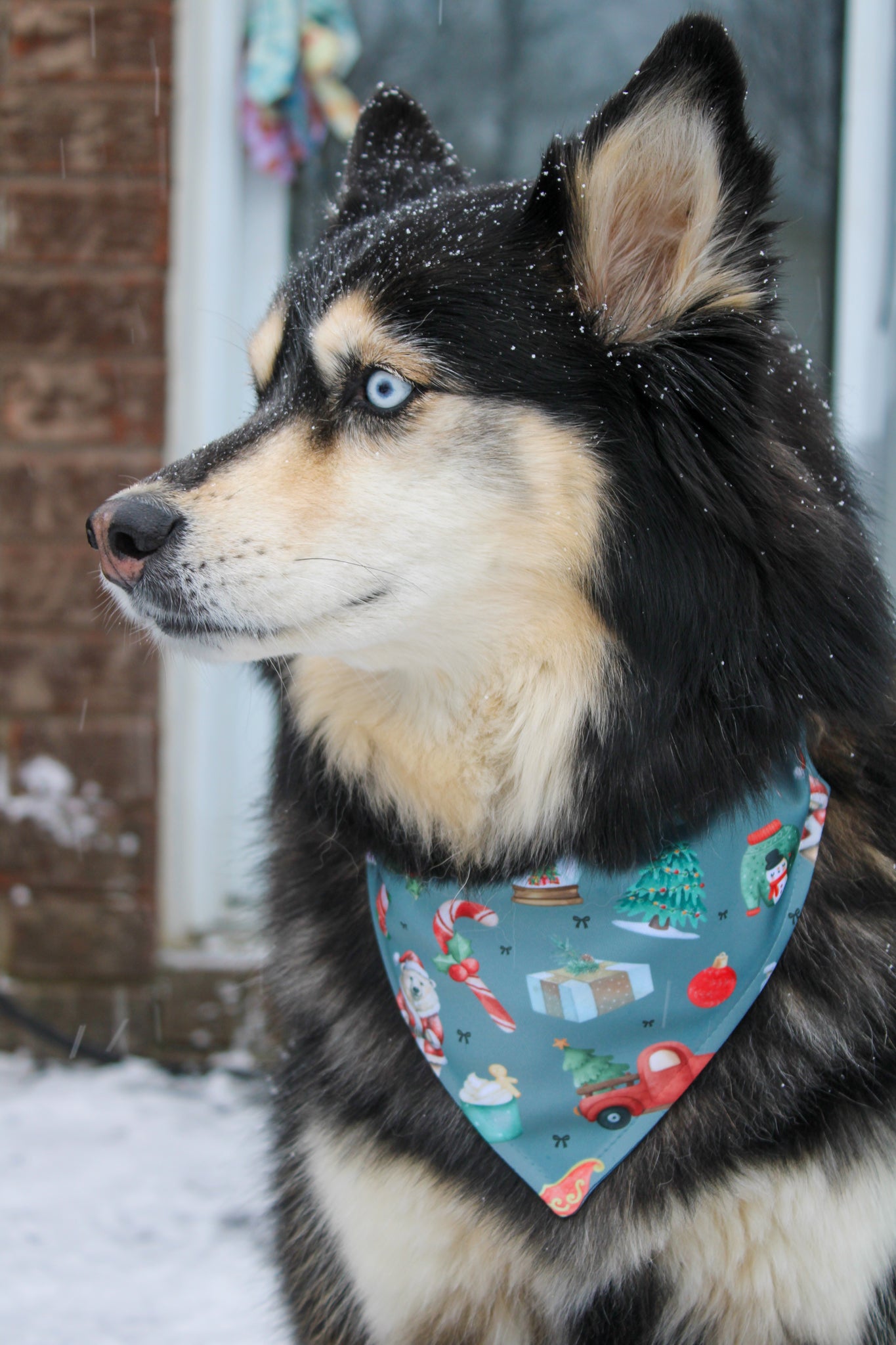 Bandana MON PREMIER NOËL